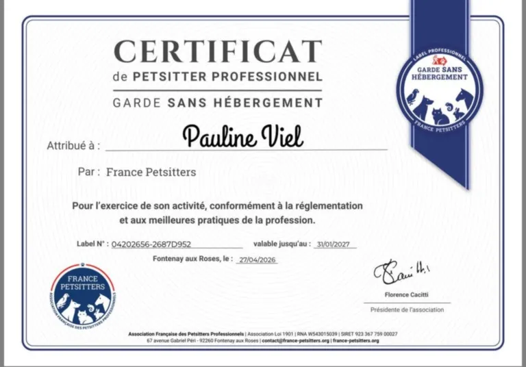 certificat de petsitter professionnel