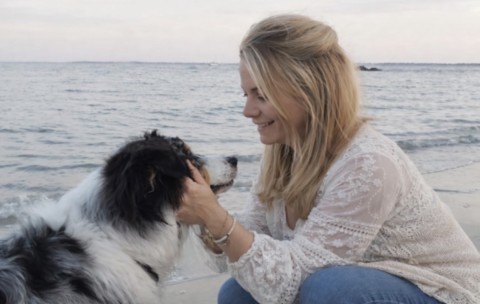 câlins pour chiens